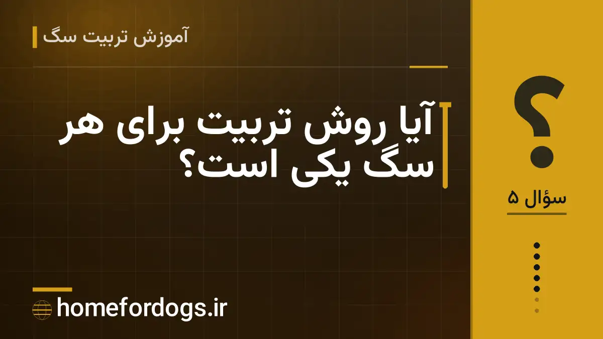 آیا روش تربیت برای هر سگ یکی است؟