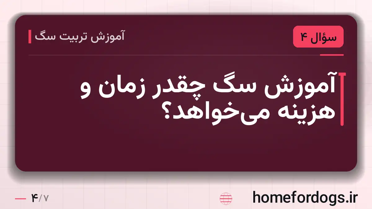 آموزش سگ چقدر زمان و هزینه میخواهد؟
