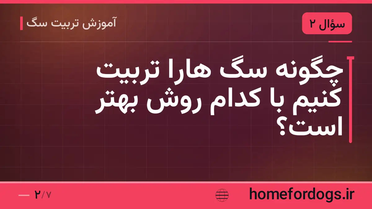 چگونه سگ هارا تربیت کنیم با کدام روش بهتر است؟