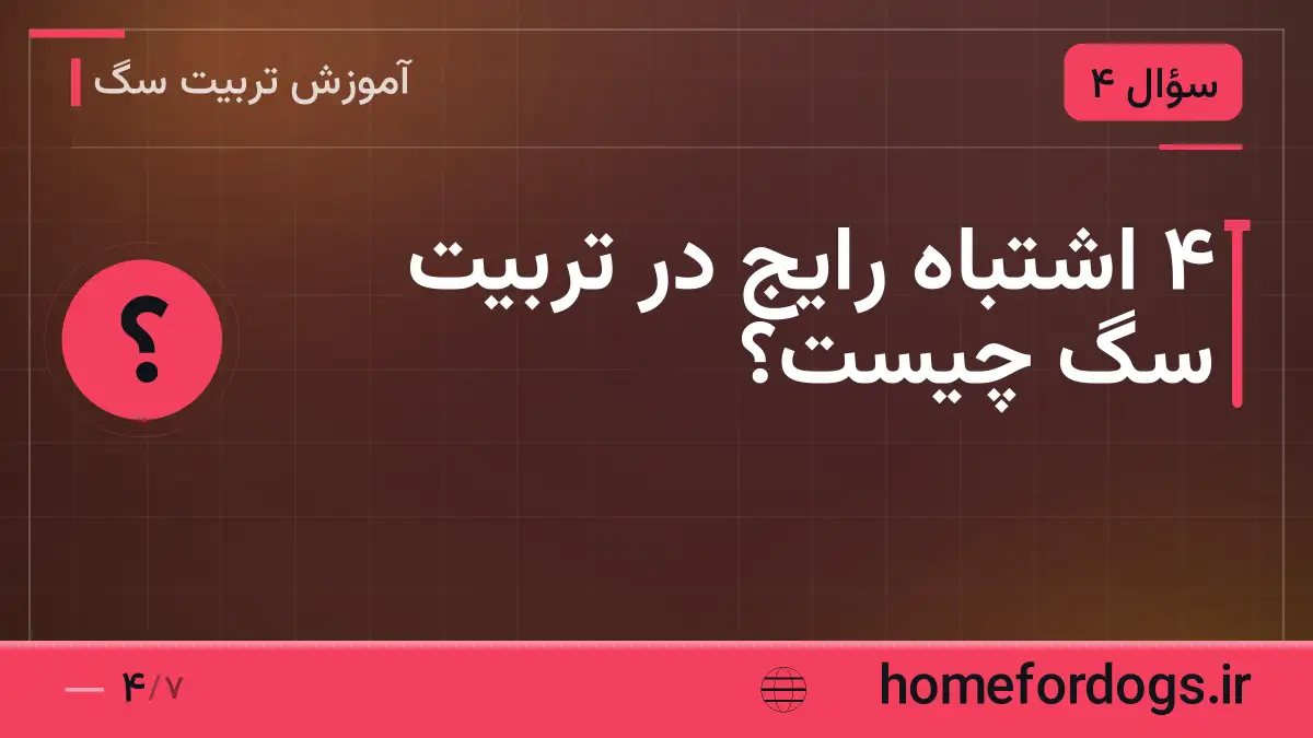 ۴ اشتباه رایج در تربیت سگ چیست؟