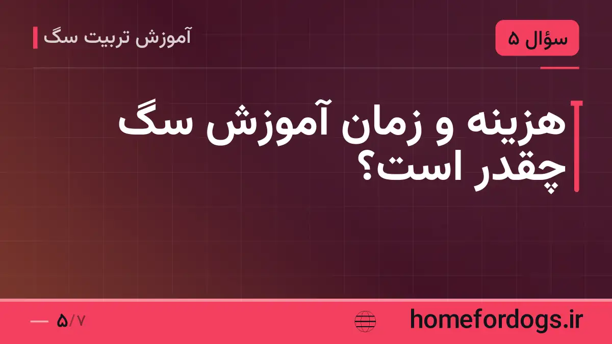 هزینه و زمان آموزش سگ چقدر است؟