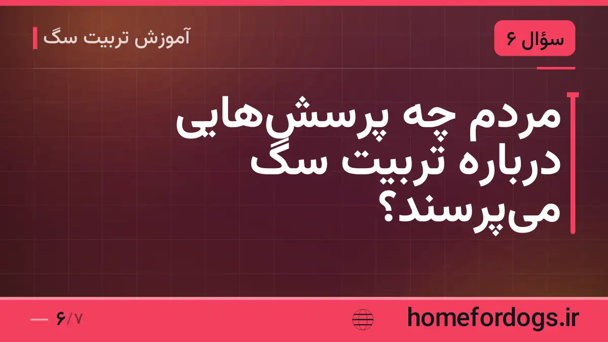 مردم چه پرسش‌هایی درباره تربیت سگ می‌پرسند؟
