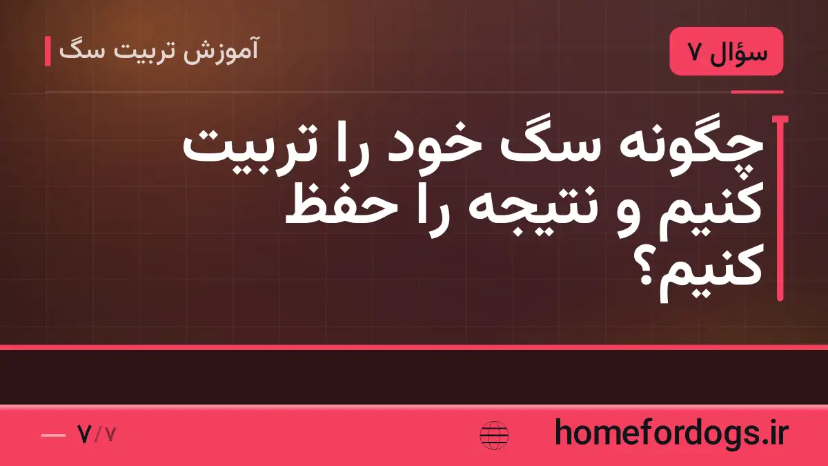 چگونه سگ خود را تربیت کنیم و نتیجه را حفظ کنیم؟