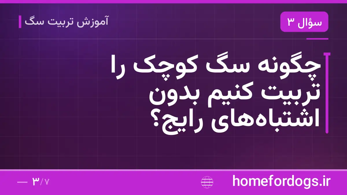 چگونه سگ کوچک را تربیت کنیم بدون اشتباه‌های رایج؟