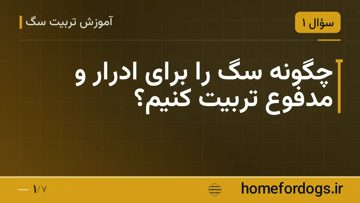 چگونه سگ را برای ادرار و مدفوع تربیت کنیم؟