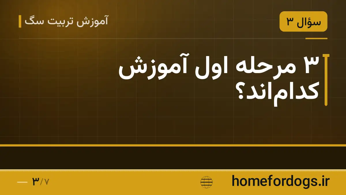 ۳ مرحله اول آموزش کداماند؟