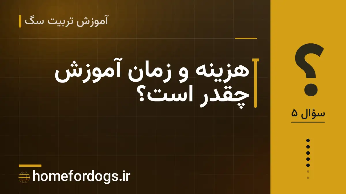 هزینه و زمان آموزش چقدر است؟