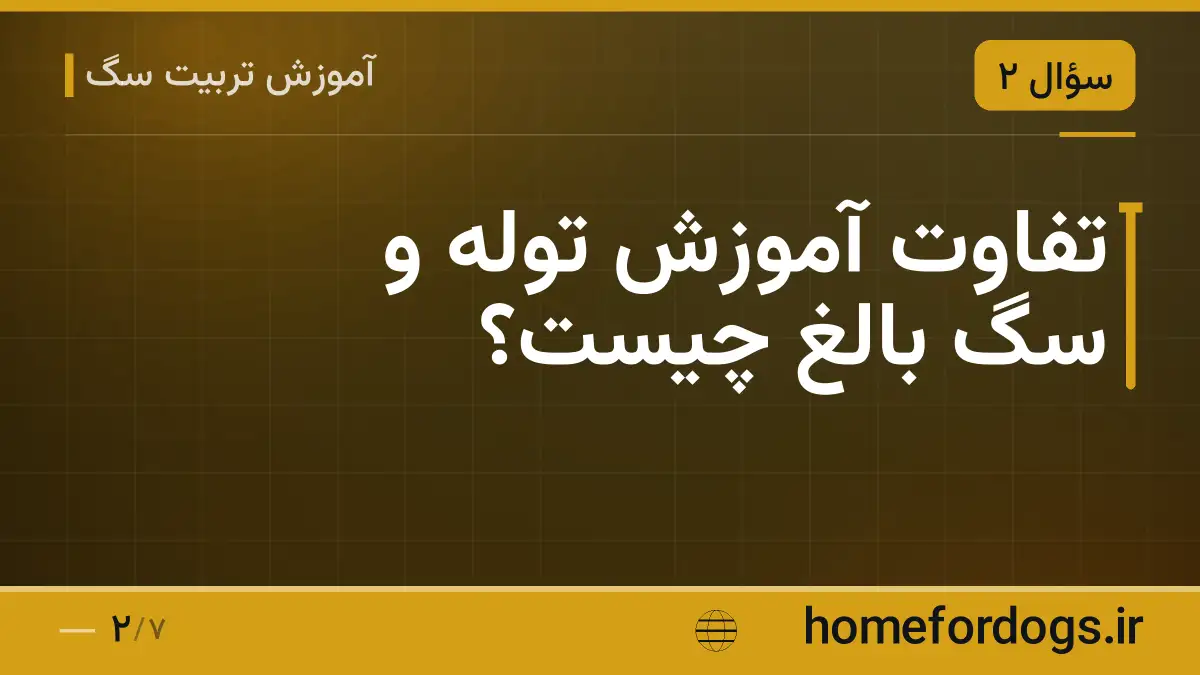 تفاوت آموزش توله و سگ بالغ چیست؟