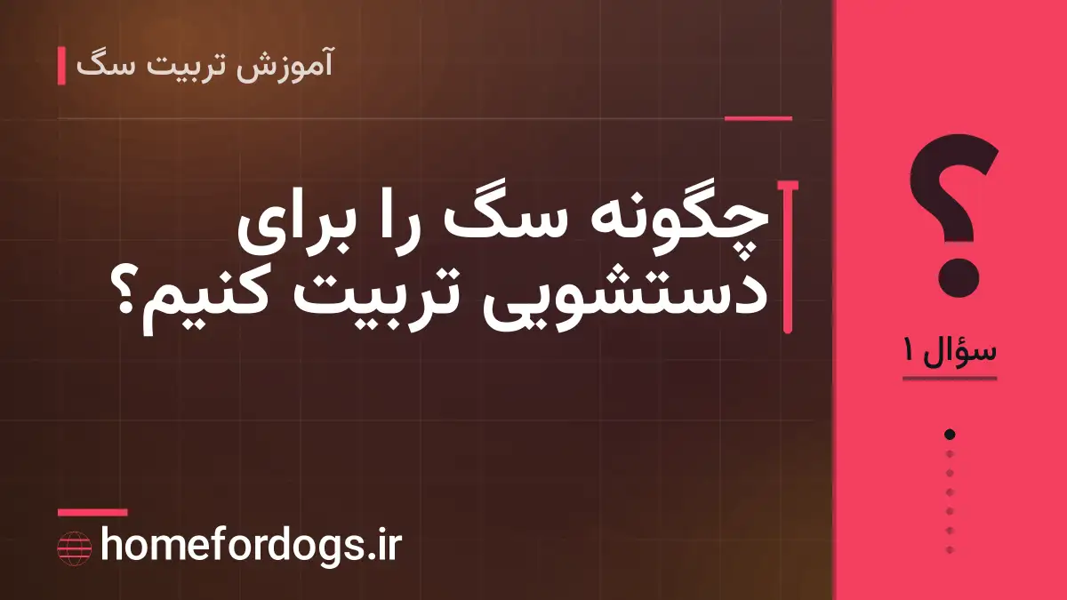 چگونه سگ را برای دستشویی تربیت کنیم؟