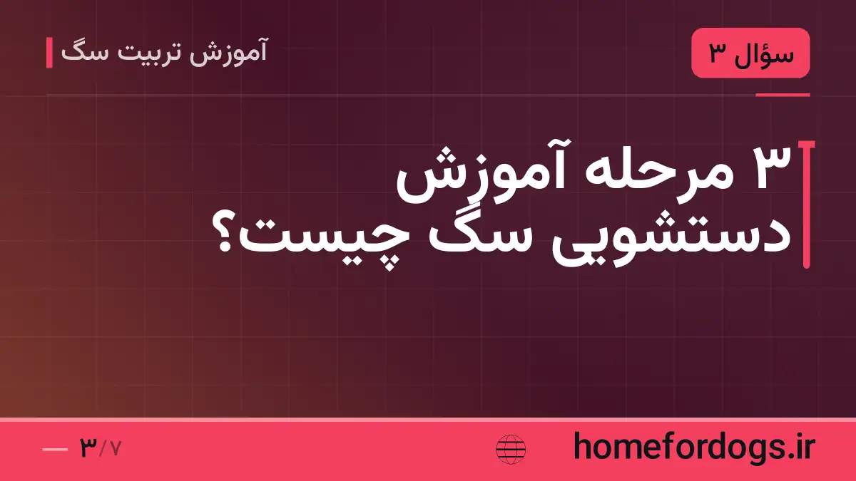 ۳ مرحله آموزش دستشویی سگ چیست؟