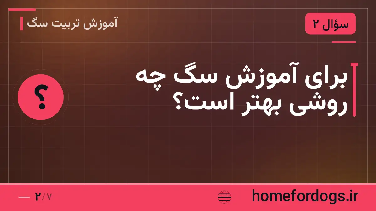 برای آموزش سگ چه روشی بهتر است؟