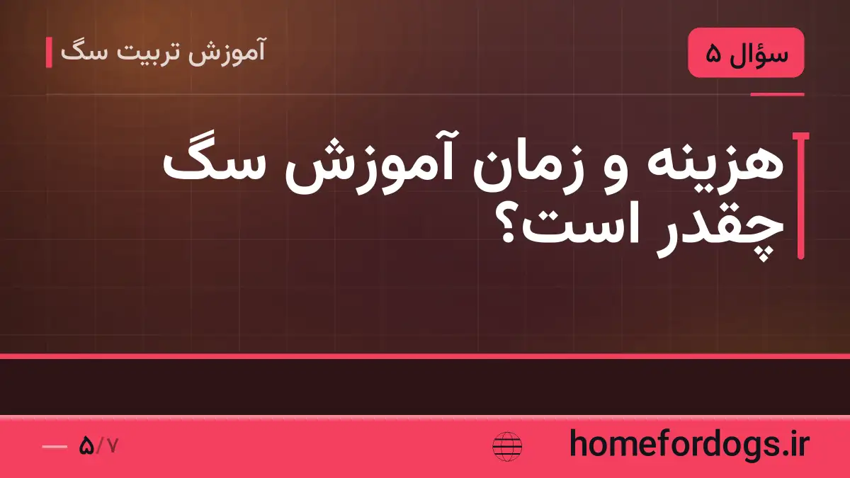 هزینه و زمان آموزش سگ چقدر است؟
