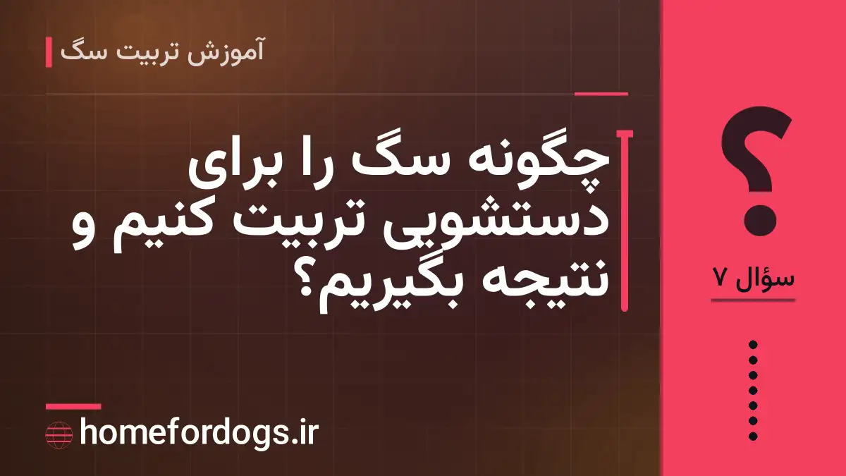 چگونه سگ را برای دستشویی تربیت کنیم و نتیجه بگیریم؟