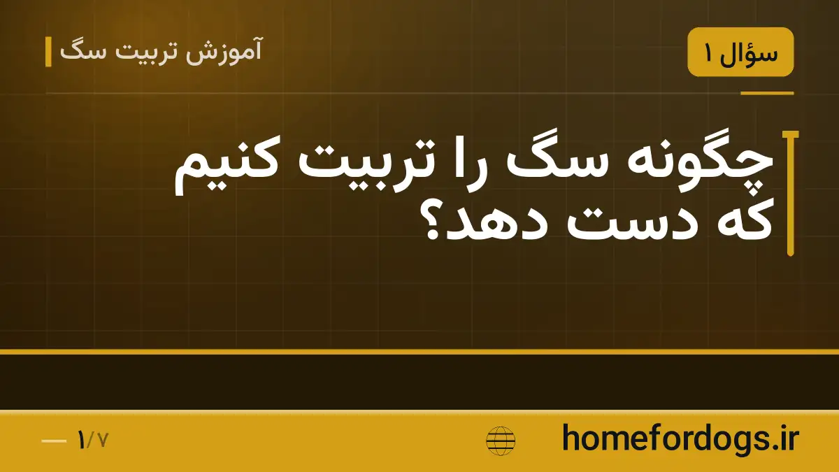 چگونه سگ را تربیت کنیم که دست دهد؟