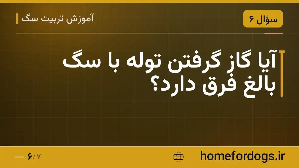آیا گاز گرفتن توله با سگ بالغ فرق دارد؟