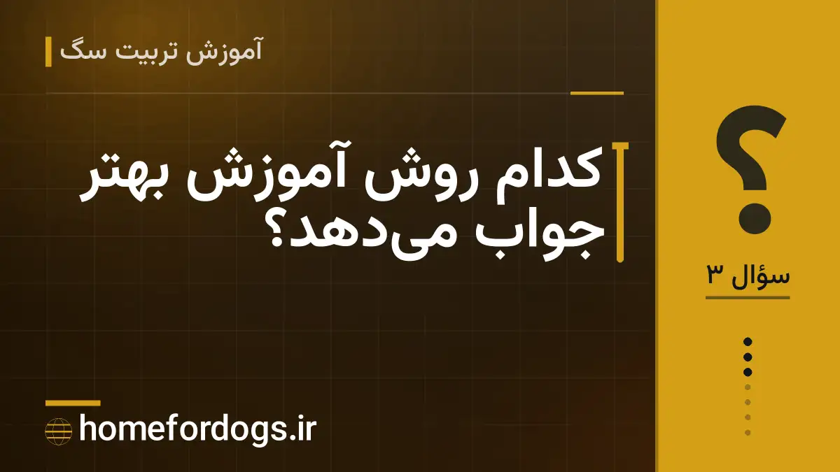 کدام روش آموزش بهتر جواب می‌دهد؟