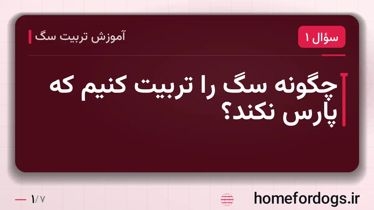 چگونه سگ را تربیت کنیم که پارس نکند؟