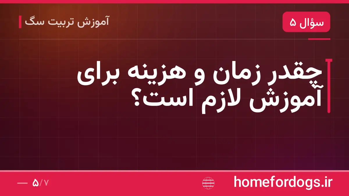 چقدر زمان و هزینه برای آموزش لازم است؟