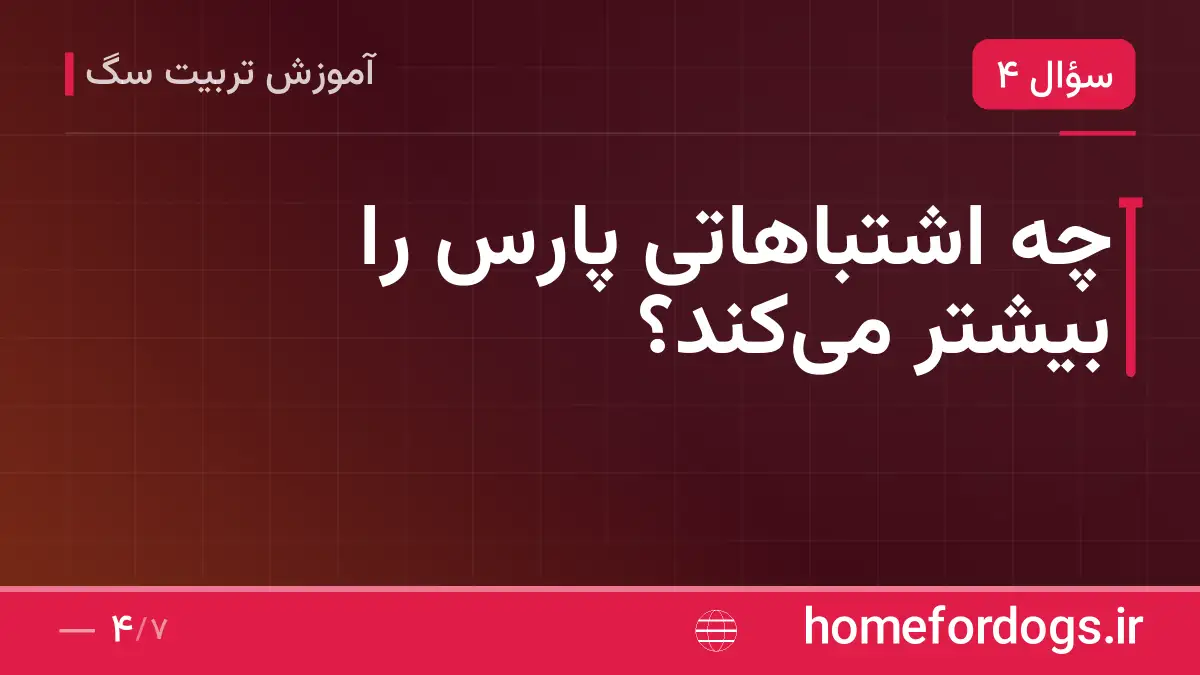 چه اشتباهاتی پارس را بیشتر میکند؟