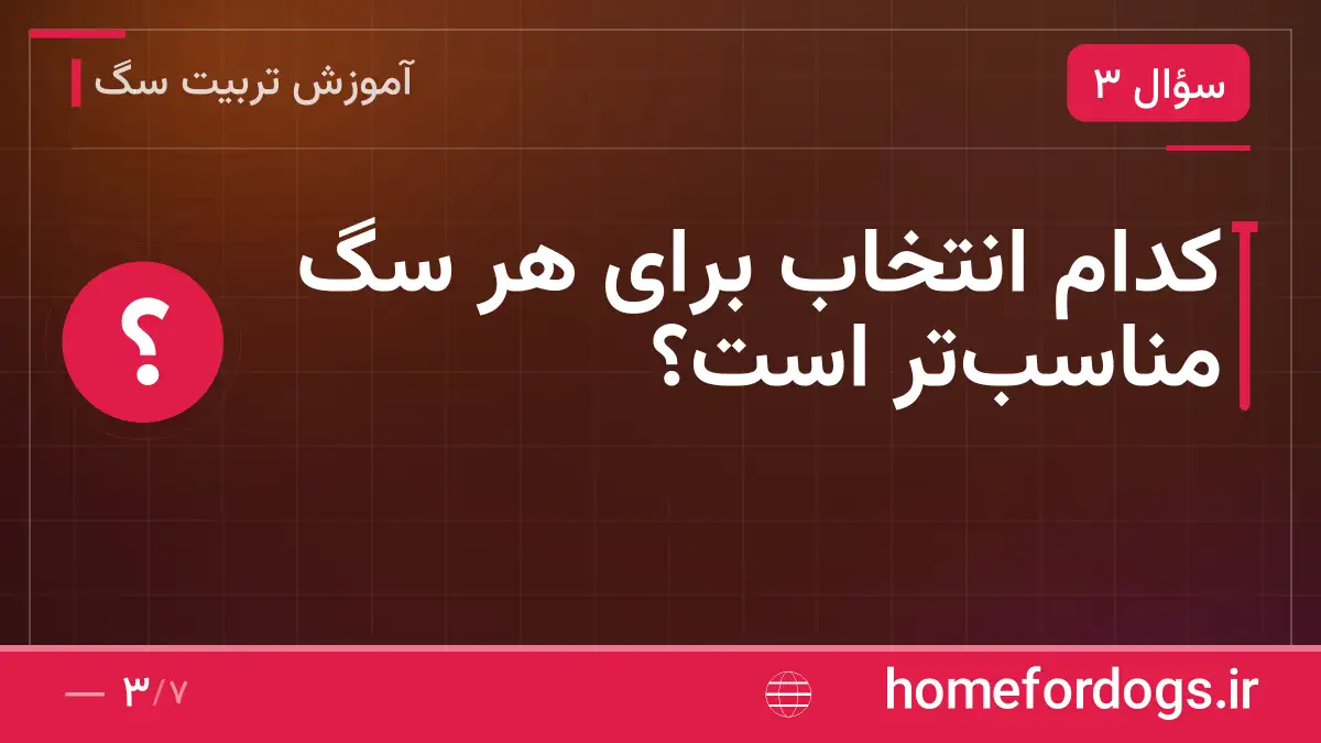 کدام انتخاب برای هر سگ مناسبتر است؟