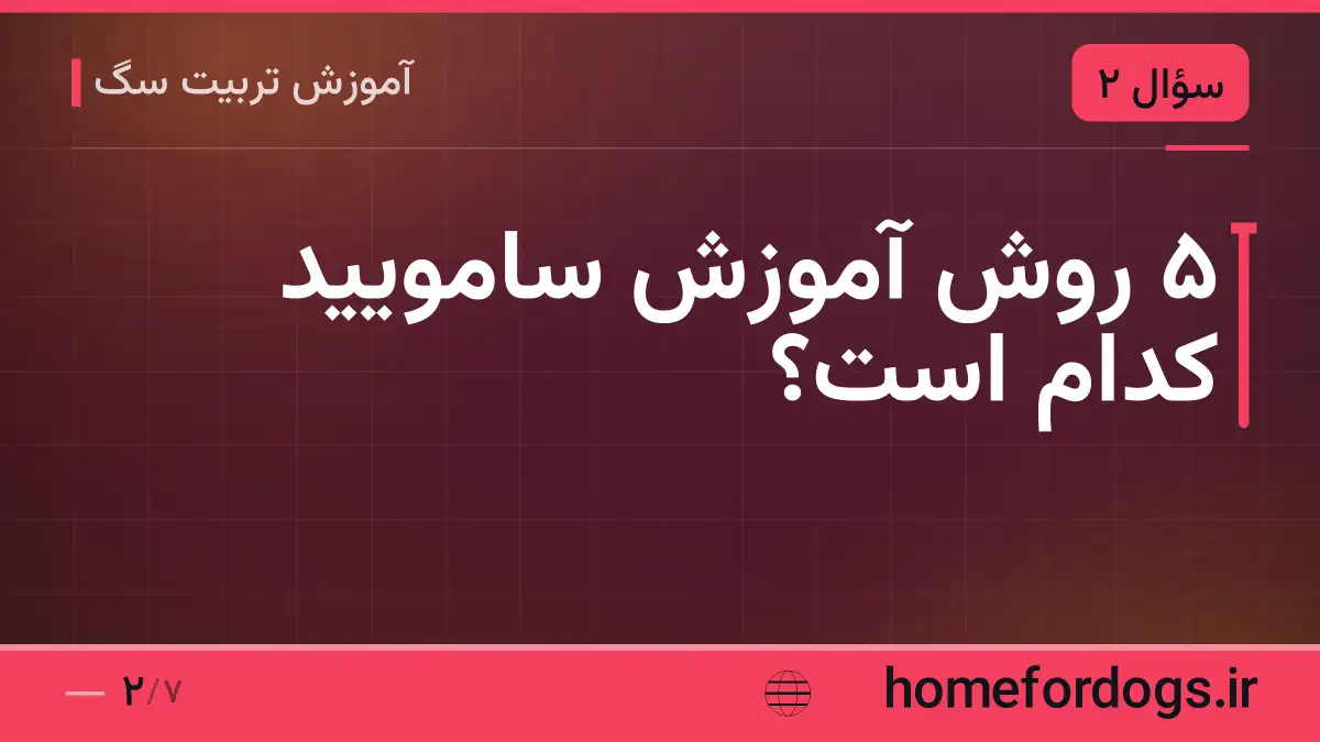 ۵ روش آموزش سامویید کدام است؟