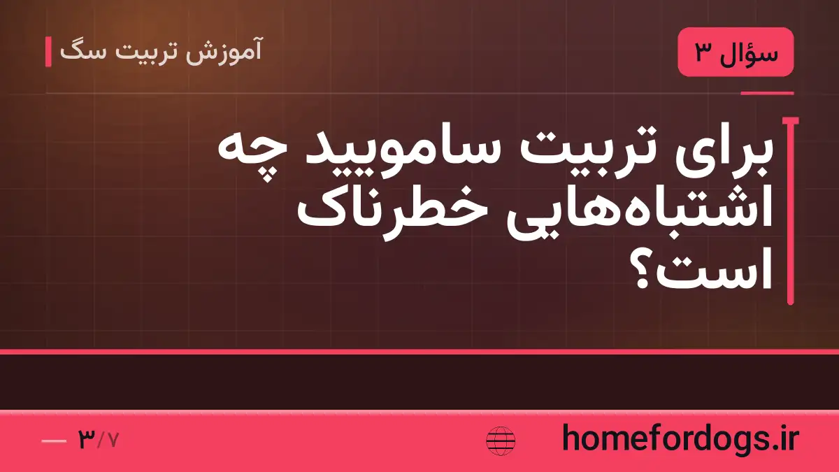 برای تربیت سامویید چه اشتباه‌هایی خطرناک است؟