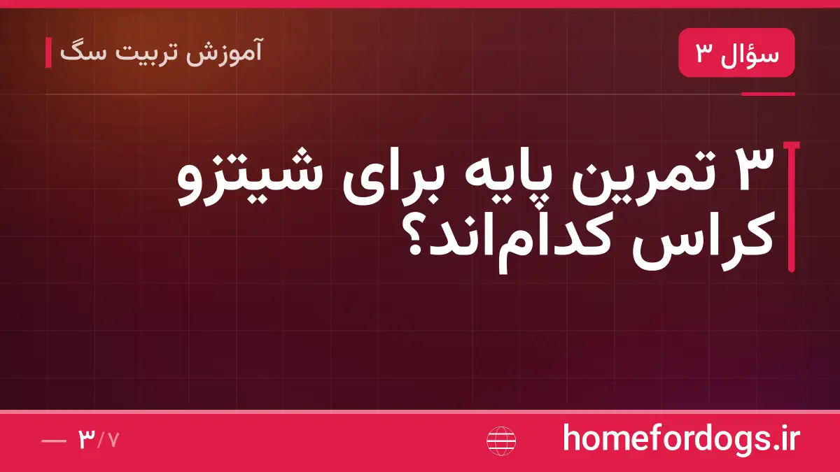 ۳ تمرین پایه برای شیتزو کراس کدام‌اند؟