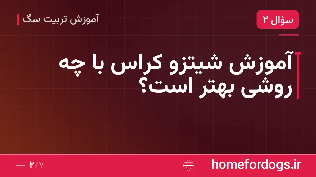 آموزش شیتزو کراس با چه روشی بهتر است؟