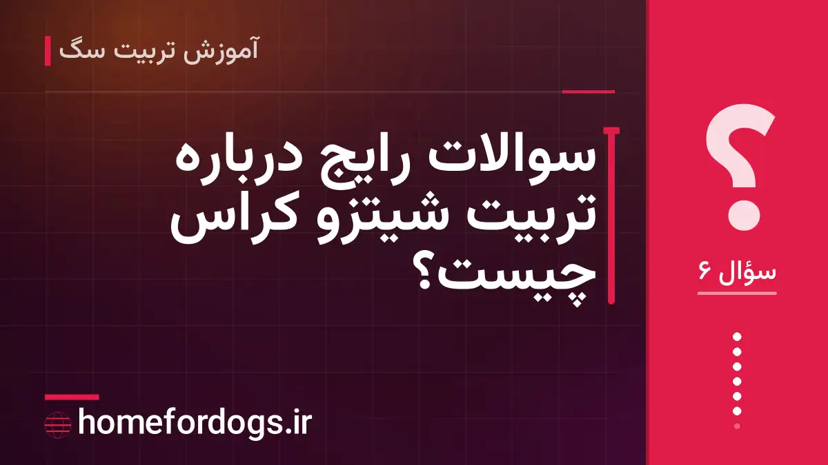 سوالات رایج دربارهٔ تربیت شیتزو کراس چیست؟