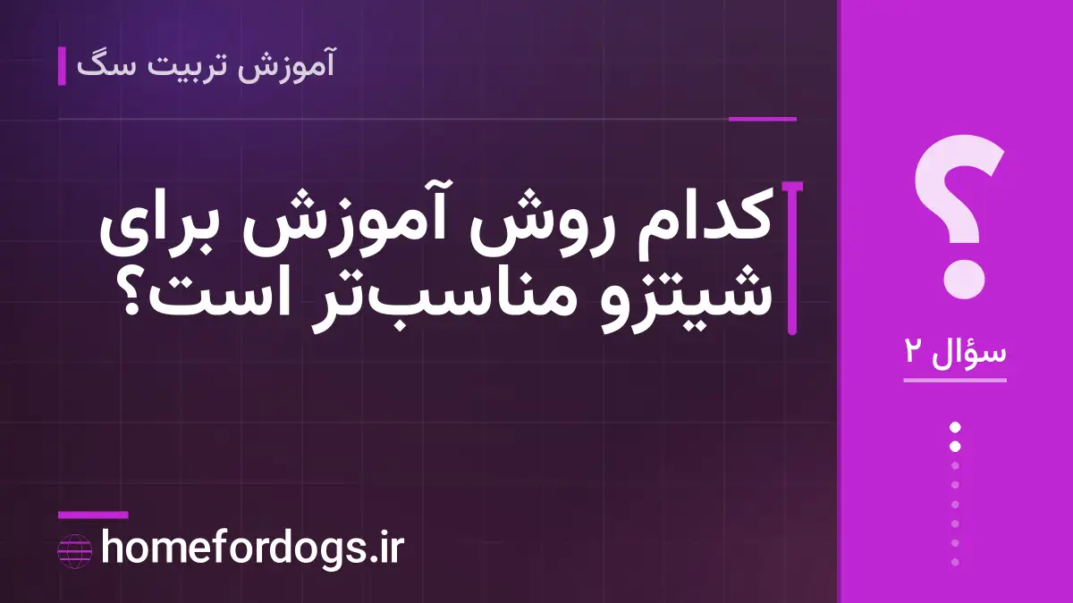 کدام روش آموزش برای شیتزو مناسب‌تر است؟