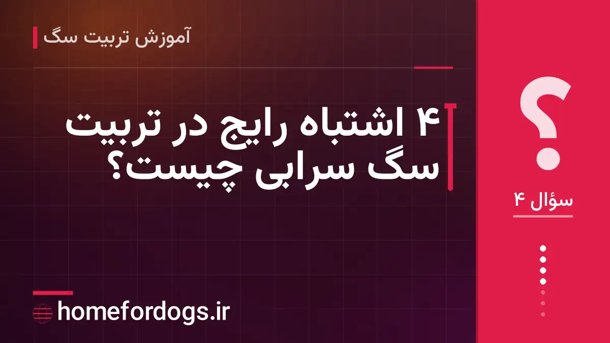 ۴ اشتباه رایج در تربیت سگ سرابی چیست؟