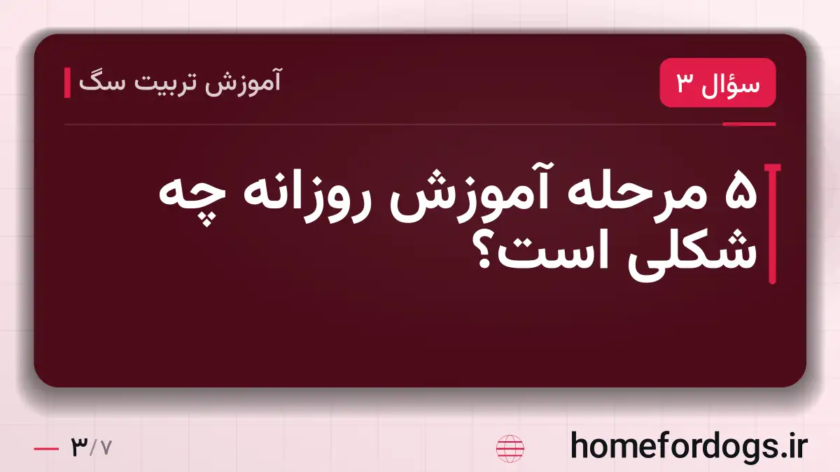 ۵ مرحله آموزش روزانه چه شکلی است؟