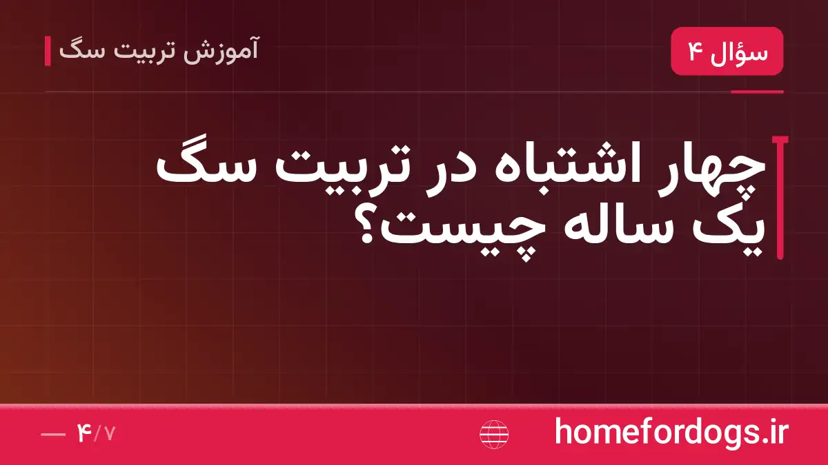 چهار اشتباه در تربیت سگ یک ساله چیست؟