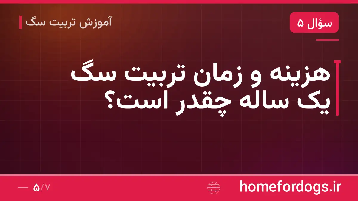 هزینه و زمان تربیت سگ یک ساله چقدر است؟