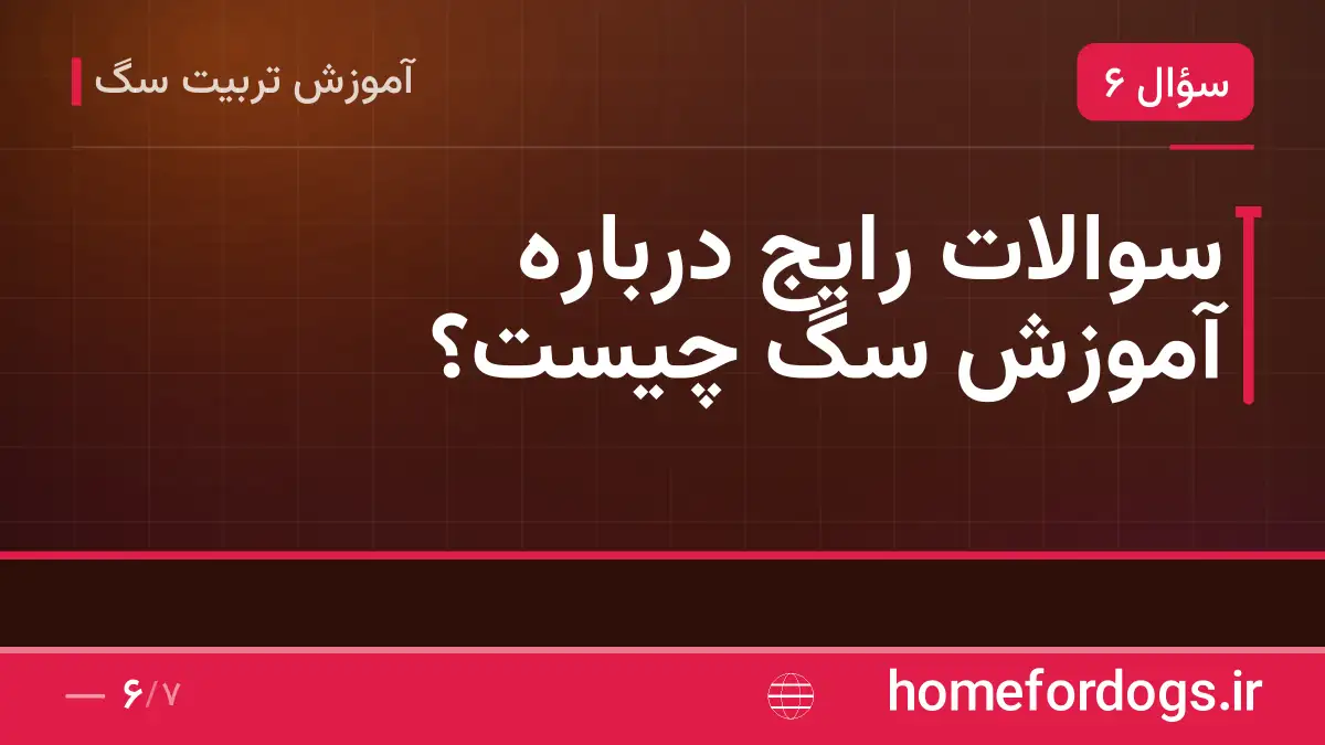 سوالات رایج درباره آموزش سگ چیست؟