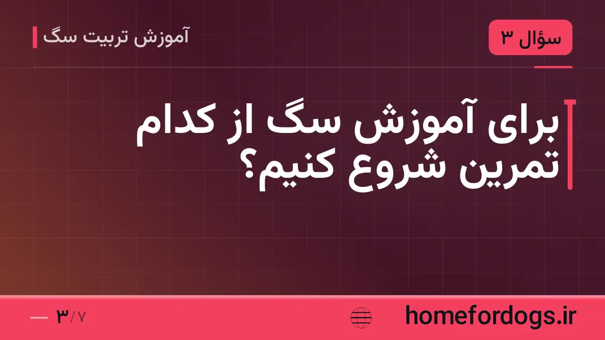 برای آموزش سگ از کدام تمرین شروع کنیم؟