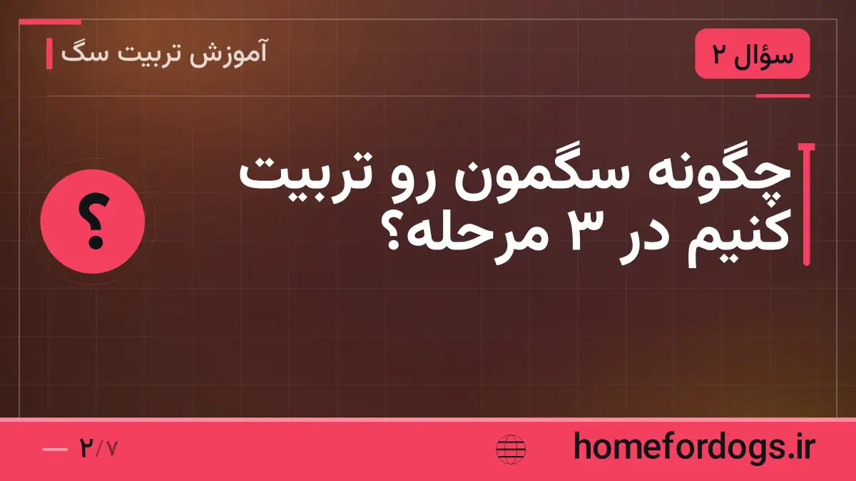 چگونه سگمون رو تربیت کنیم در ۳ مرحله؟