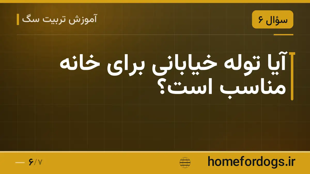 آیا توله خیابانی برای خانه مناسب است؟