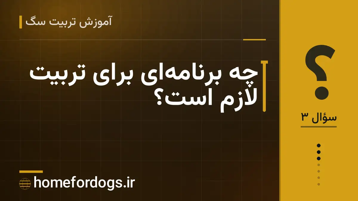 چه برنامه‌ای برای تربیت لازم است؟