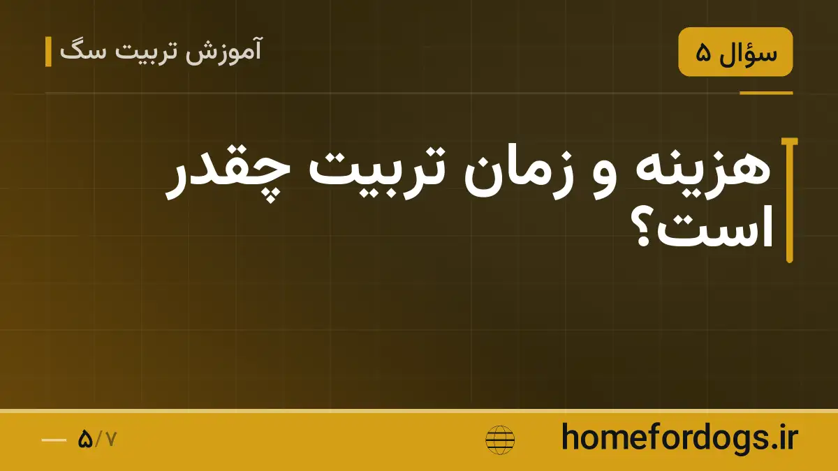 هزینه و زمان تربیت چقدر است؟