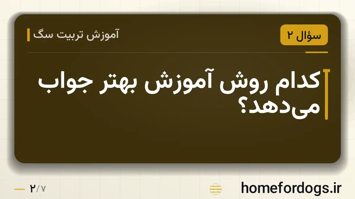 کدام روش آموزش بهتر جواب می‌دهد؟