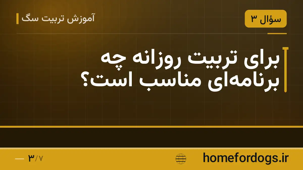 برای تربیت روزانه چه برنامهای مناسب است؟