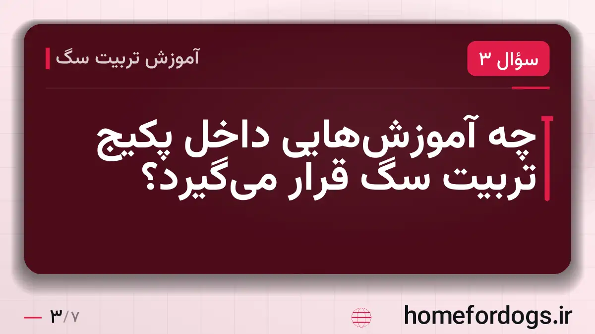 چه آموزشهایی داخل پکیج تربیت سگ قرار میگیرد؟