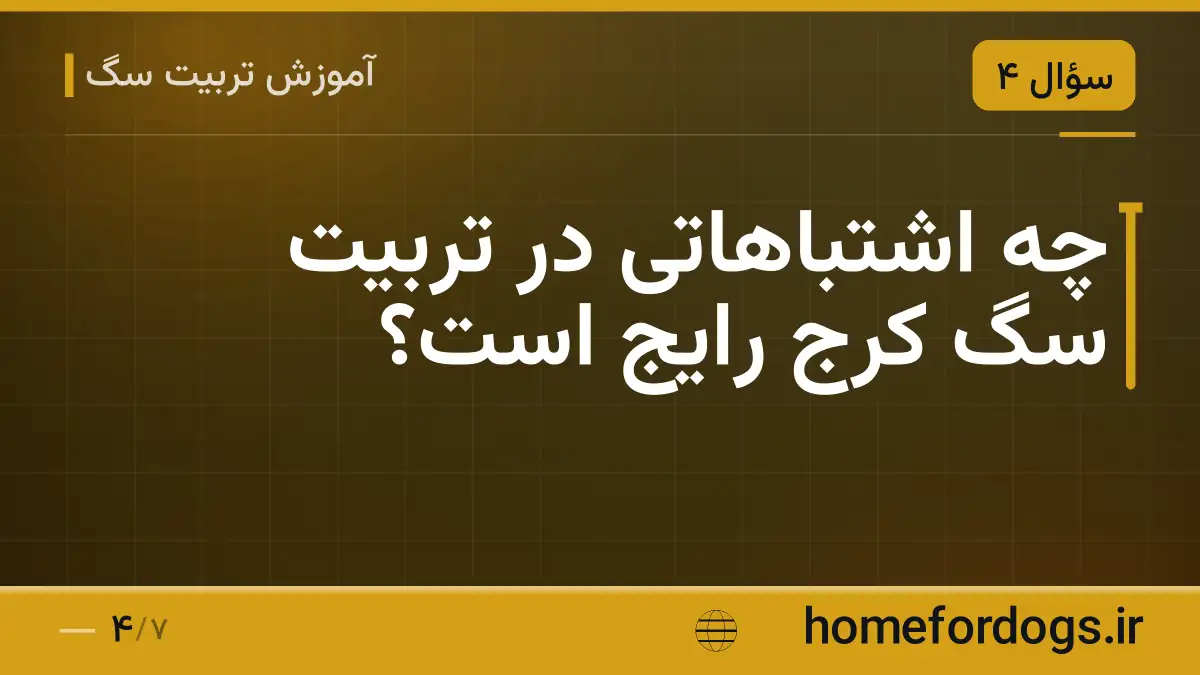 چه اشتباهاتی در تربیت سگ کرج رایج است؟