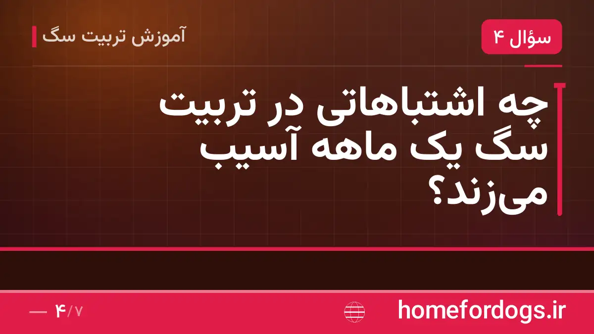 چه اشتباهاتی در تربیت سگ یک ماهه آسیب می‌زند؟