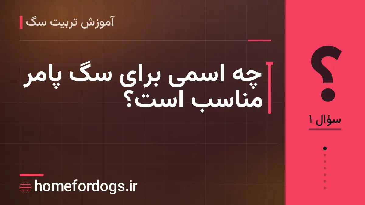 چه اسمی برای سگ پامر مناسب است؟