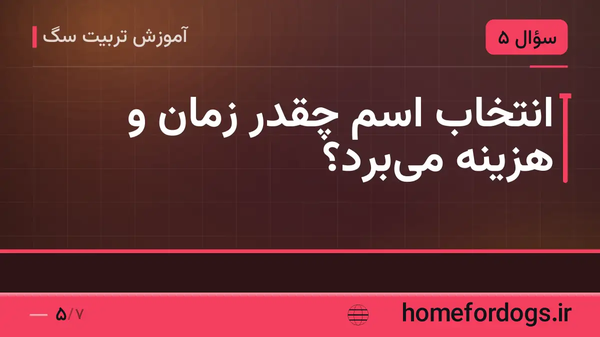 انتخاب اسم چقدر زمان و هزینه می‌برد؟