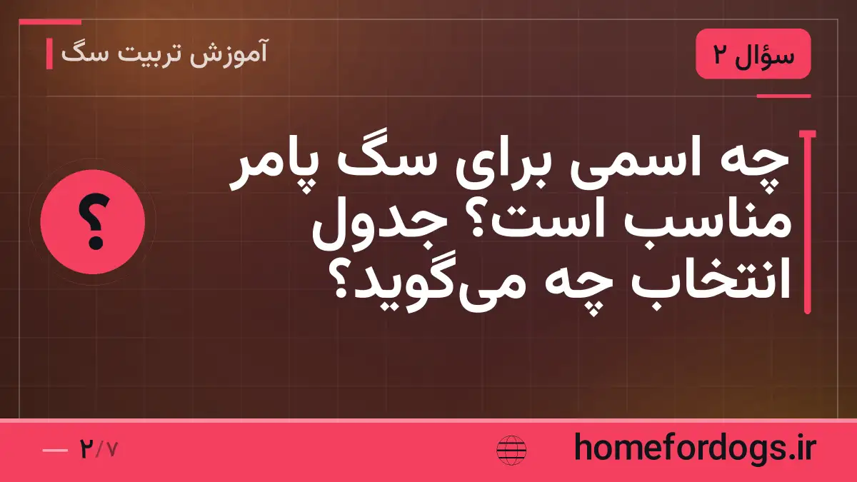 چه اسمی برای سگ پامر مناسب است؟ جدول انتخاب چه می‌گوید؟