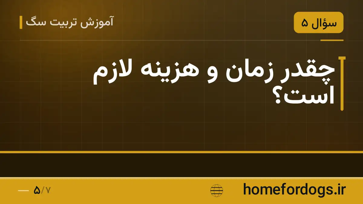 چقدر زمان و هزینه لازم است؟