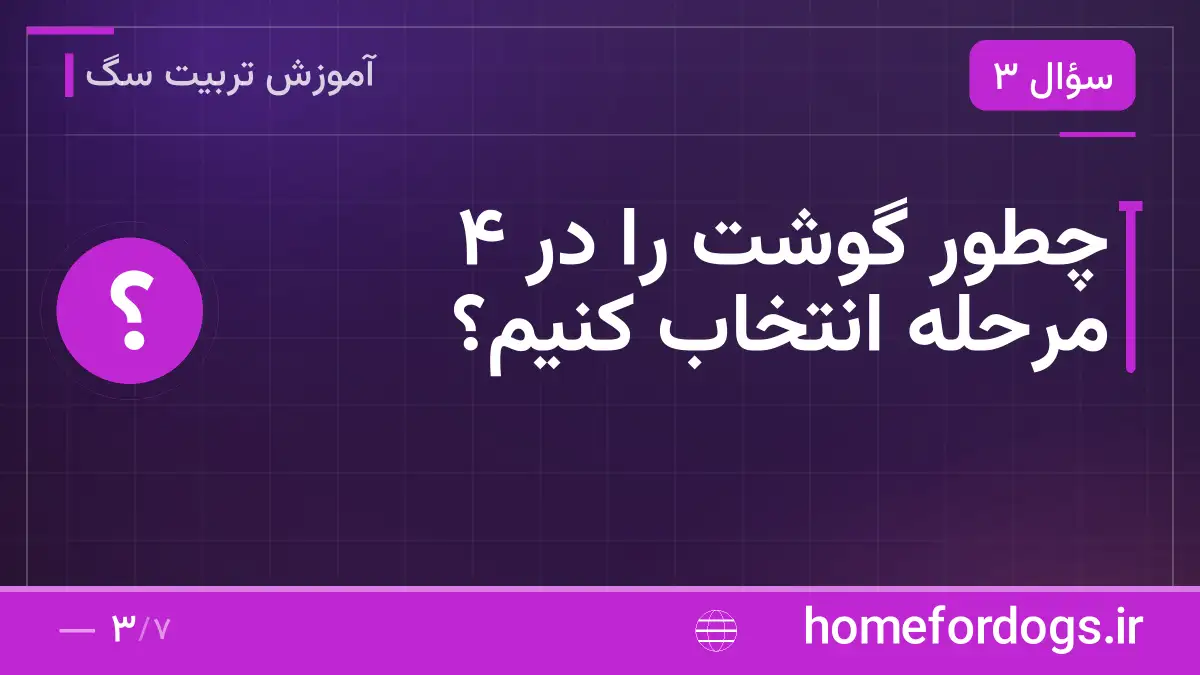 چطور گوشت را در ۴ مرحله انتخاب کنیم؟